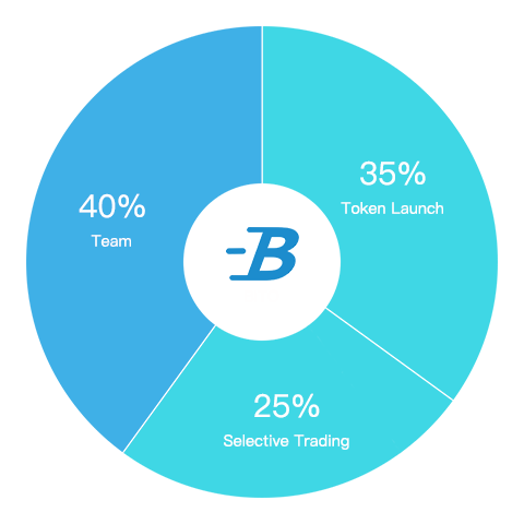 Token Allocation